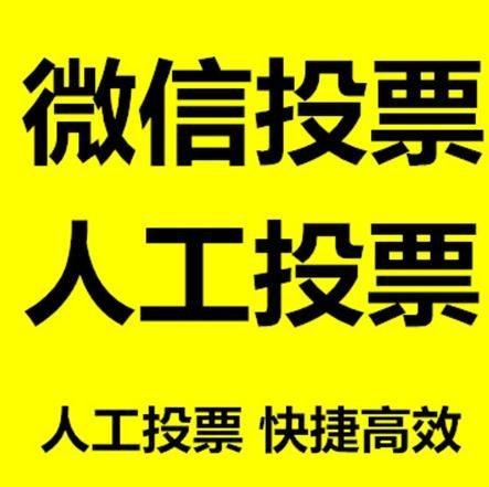 嘉兴市投票活动拉票能被查出来吗？如何操作能不被发现？